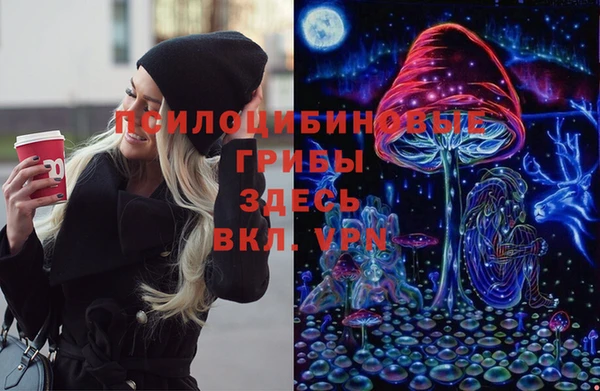 гашиш Новодвинск