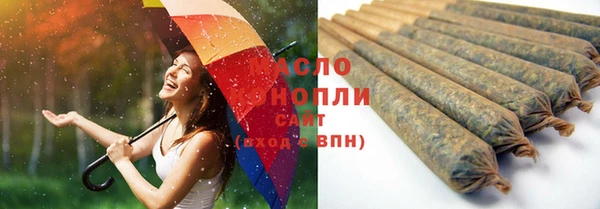 стаф Нея