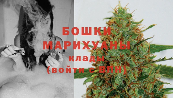 стаф Нея