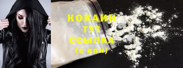 стаф Нея