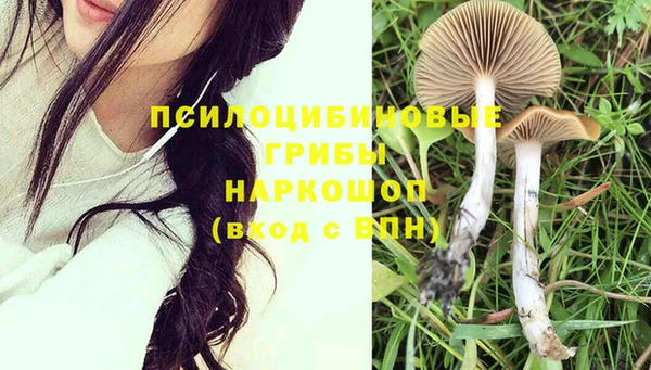 PSILOCYBIN Нефтекумск