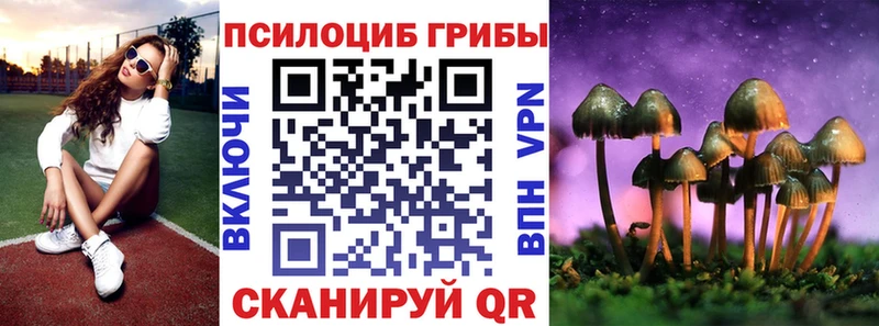 мориарти состав Новопавловск Галлюциногенные грибы MAGIC MUSHROOMS